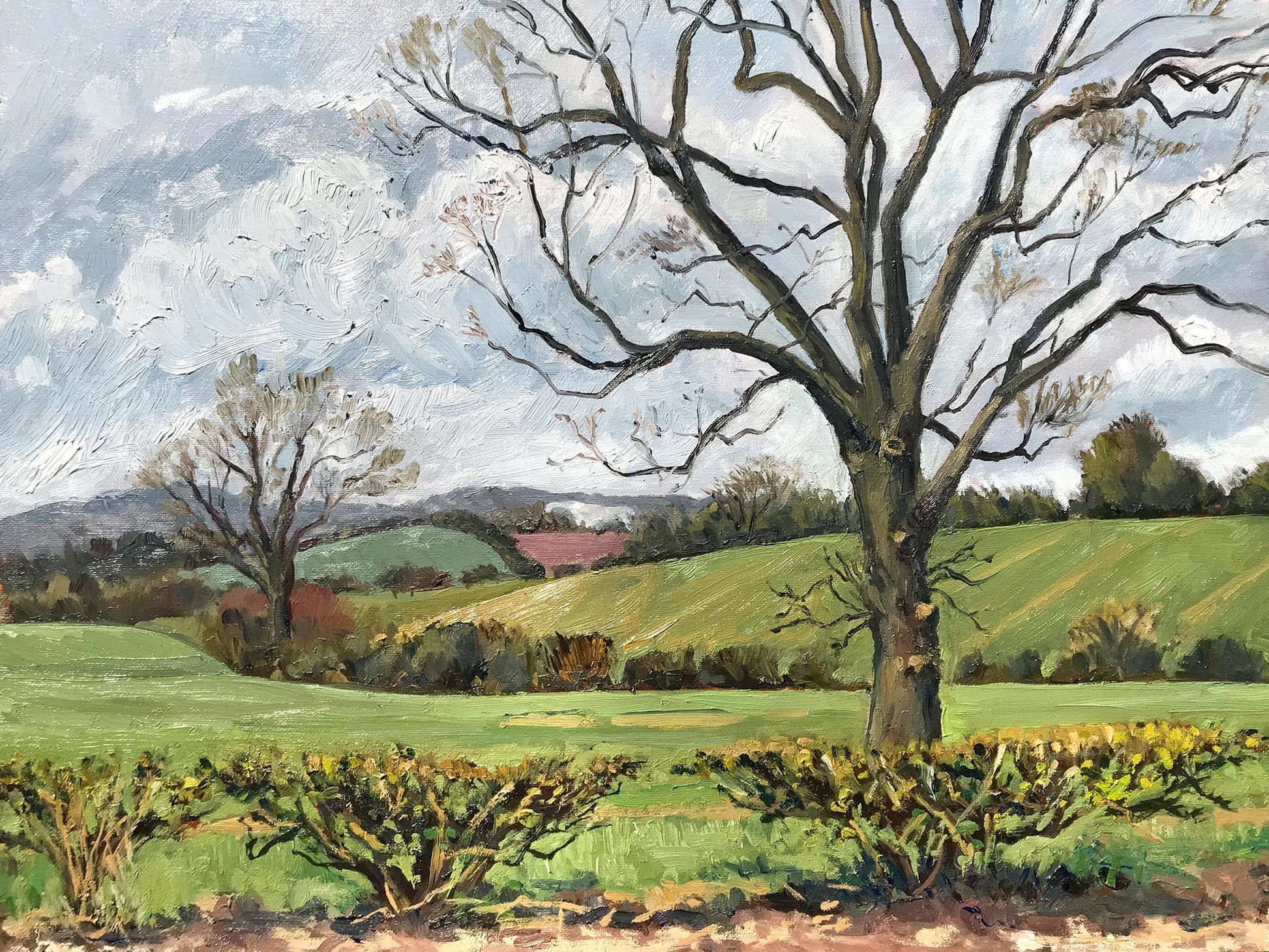 A view towards the White Horse from arlton Husthwaite by Jeff Parker