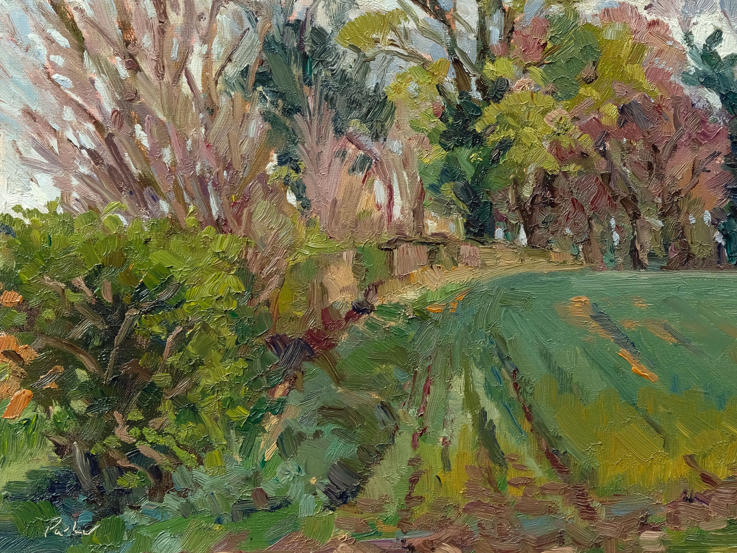 Spring Beckons, Ganthorpe