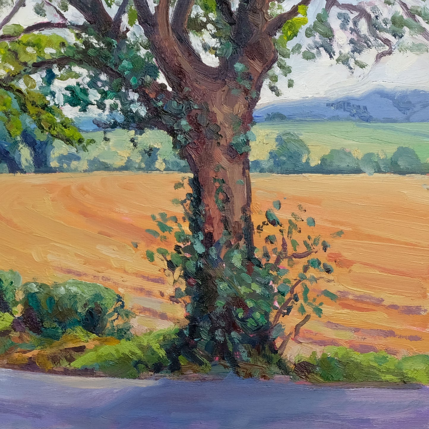 Late Summer, Birdsall
