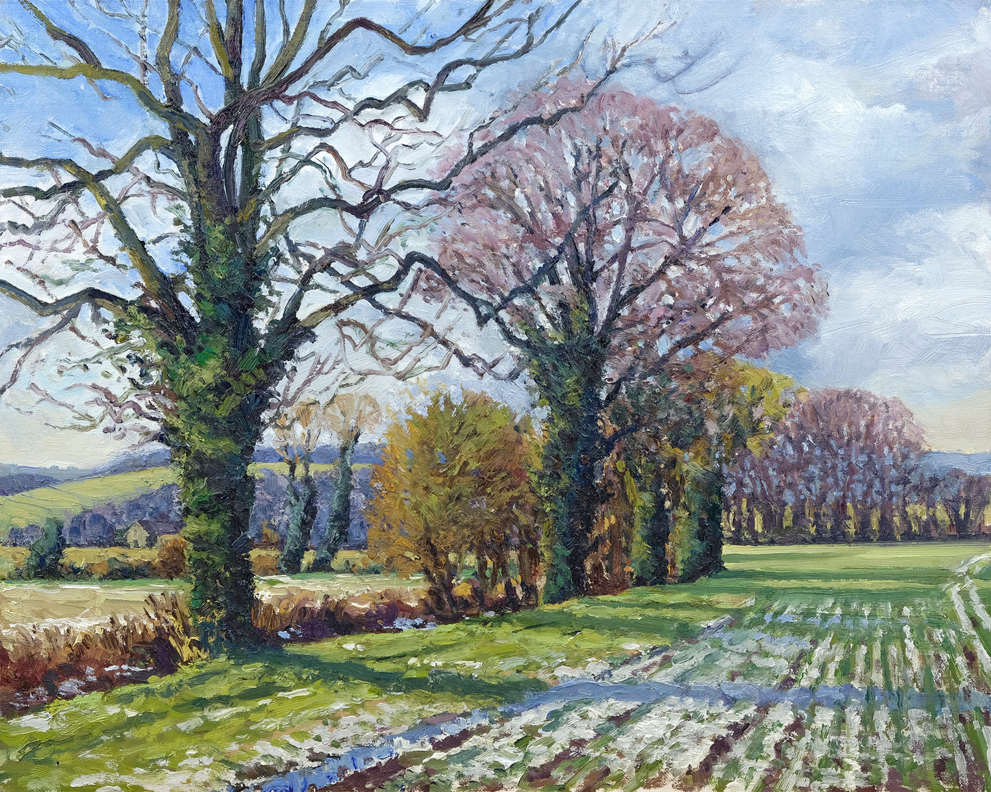 Winter Fields