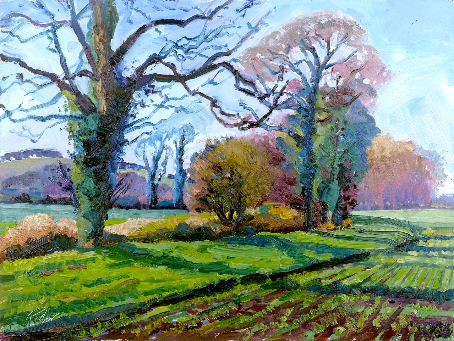 Autumn Fields, Hovingham