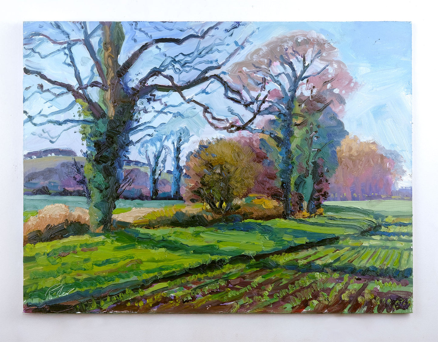 Autumn Fields, Hovingham
