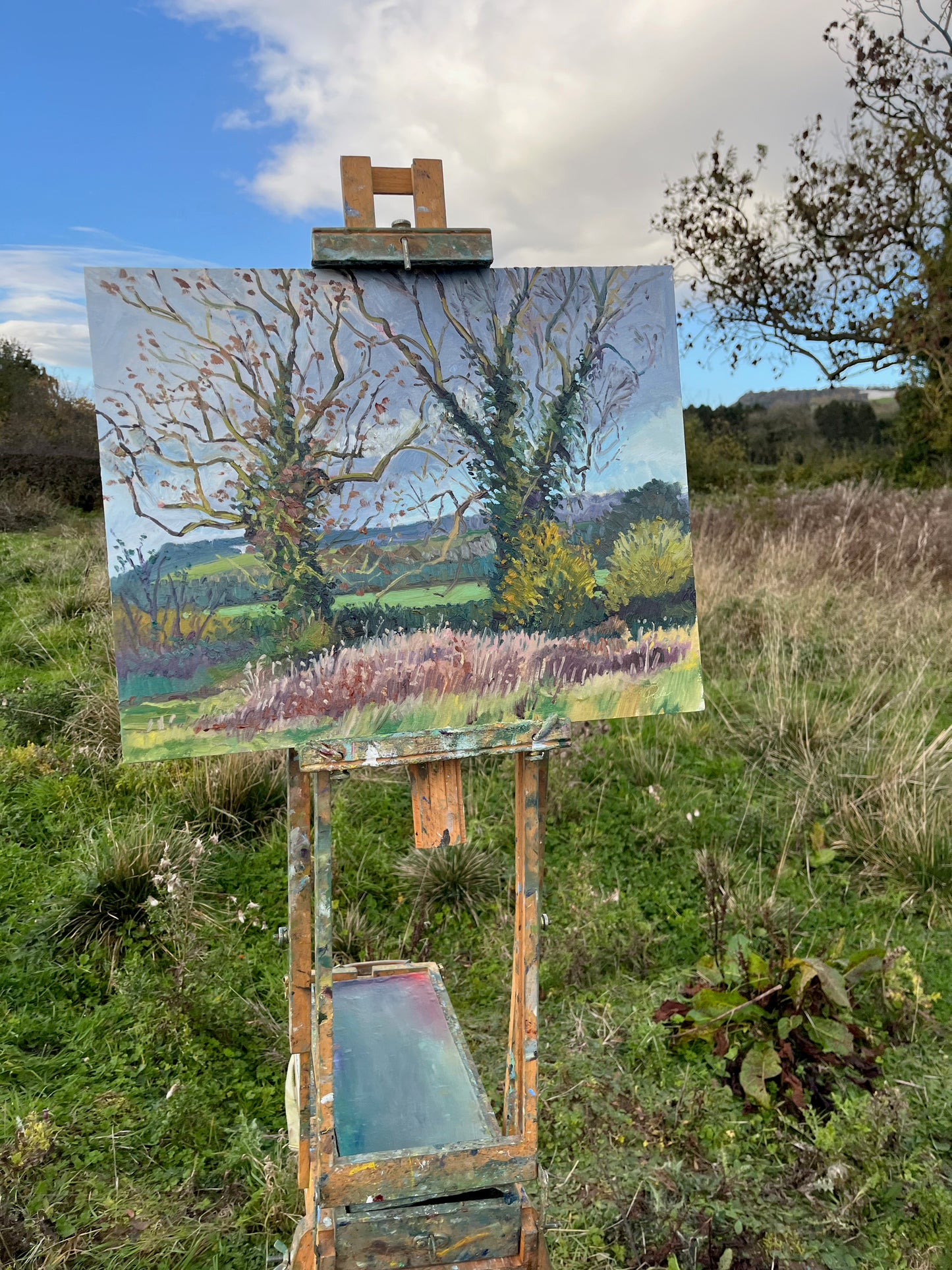 Two Trees, and Kilburn White Horse