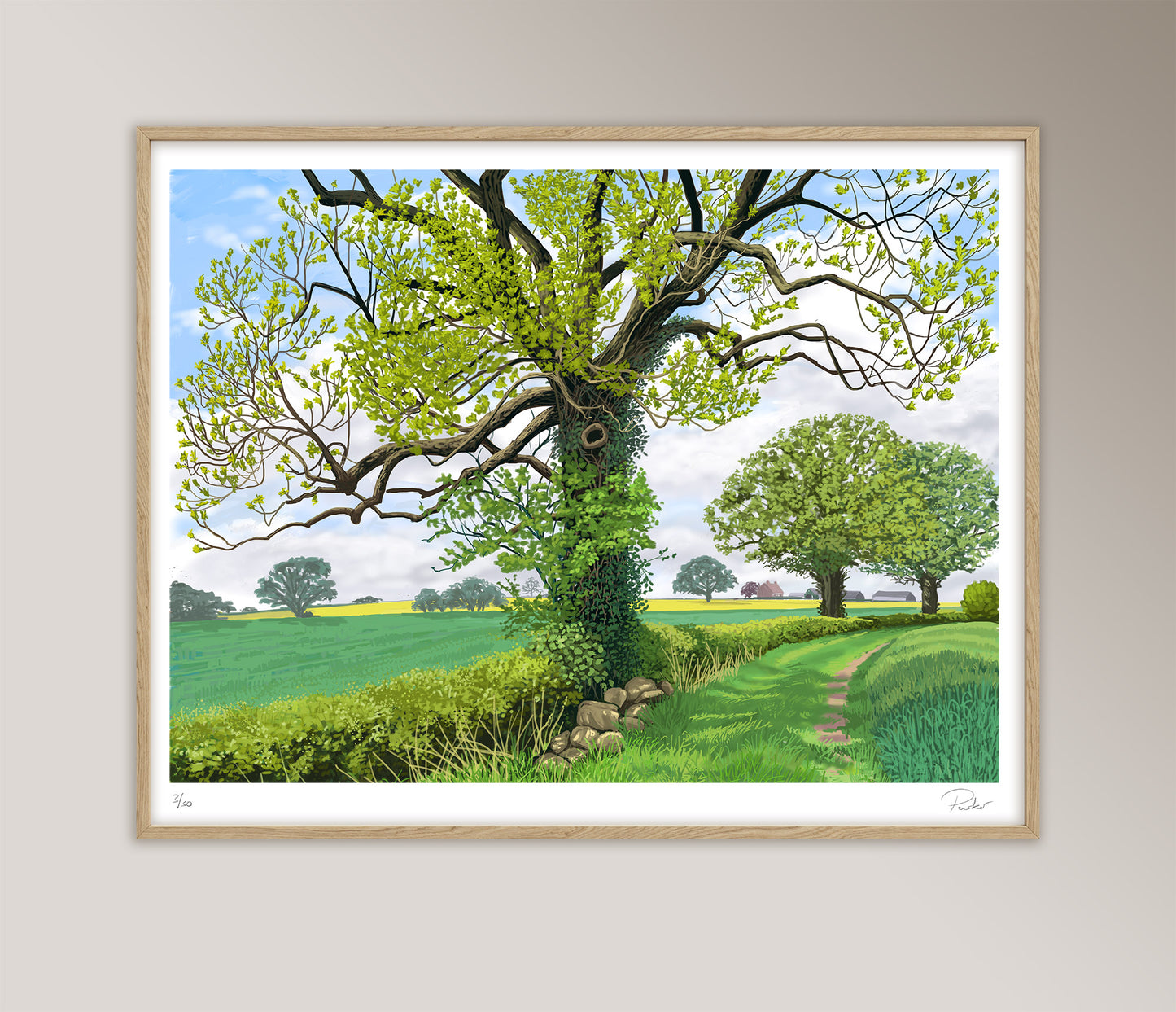 Framed image of May Tree, Farlington in an oak frame. Digital iPad drawing by Jeff Parker