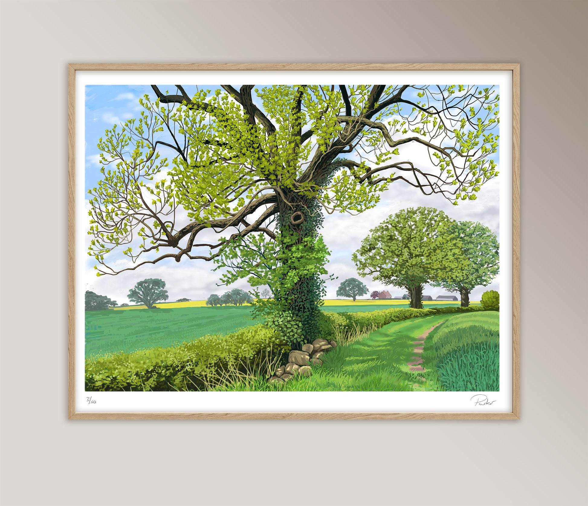 Framed image of May Tree, Farlington in an oak frame. Digital iPad drawing by Jeff Parker