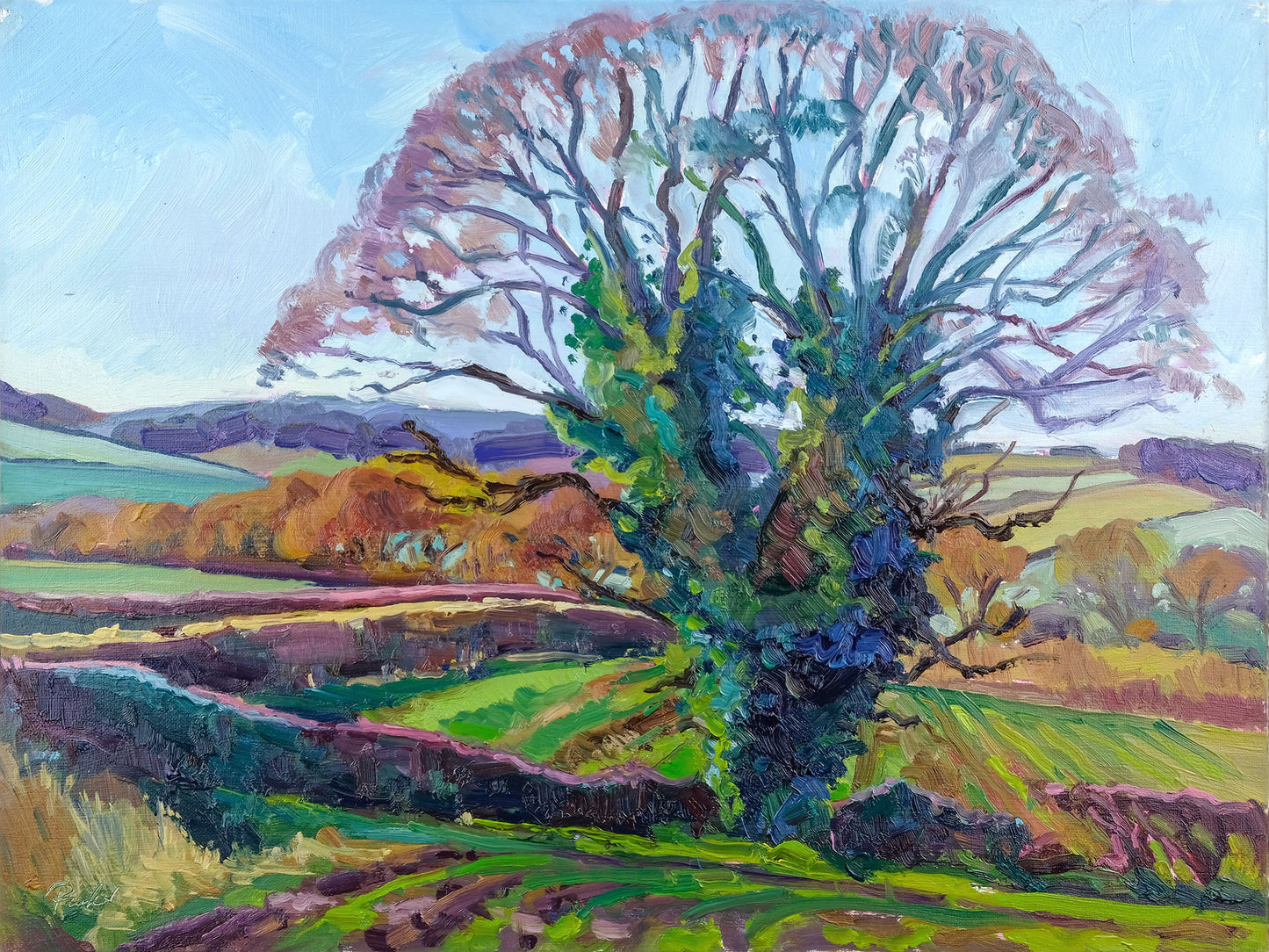 November Oak