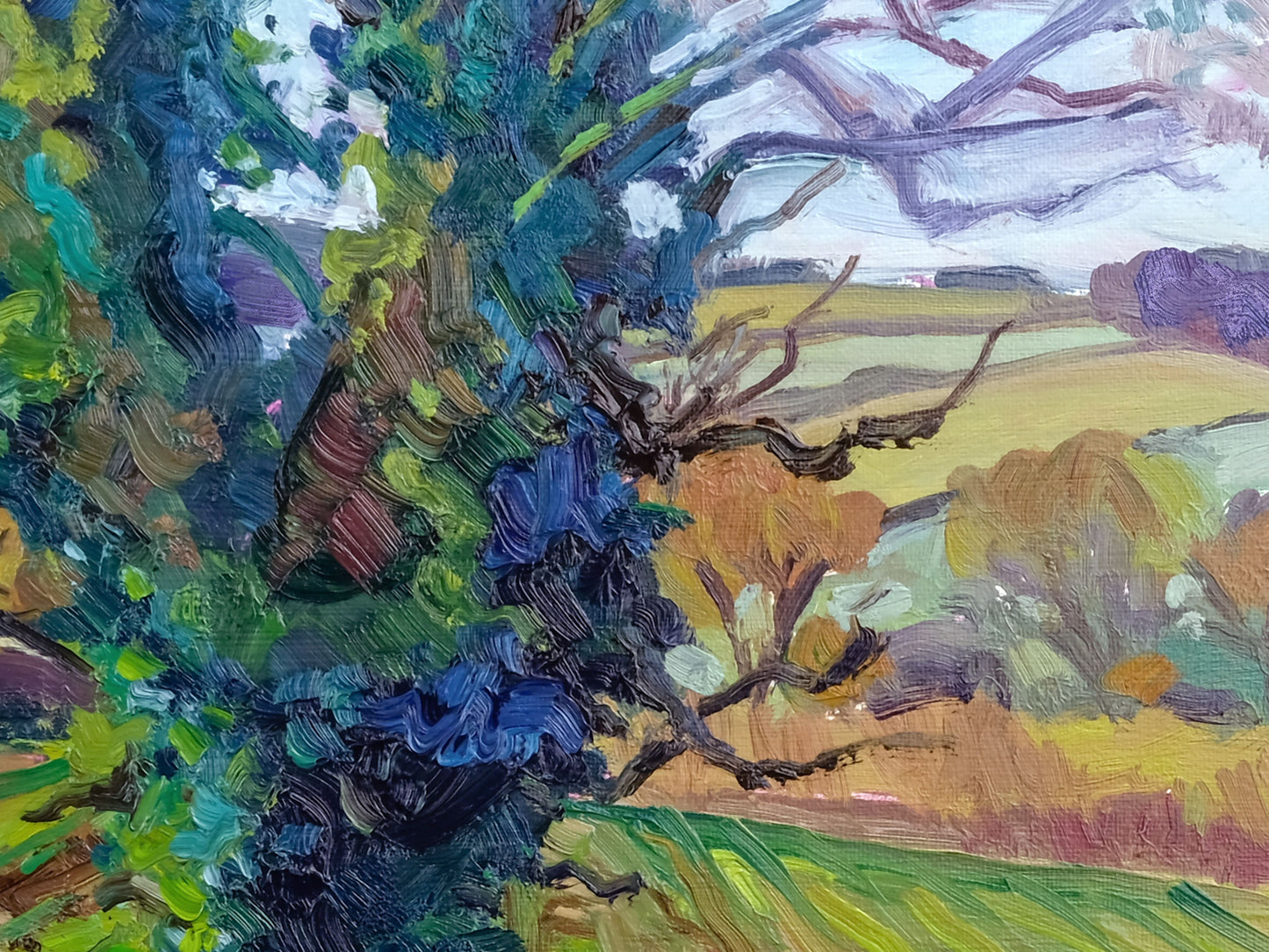 November Oak