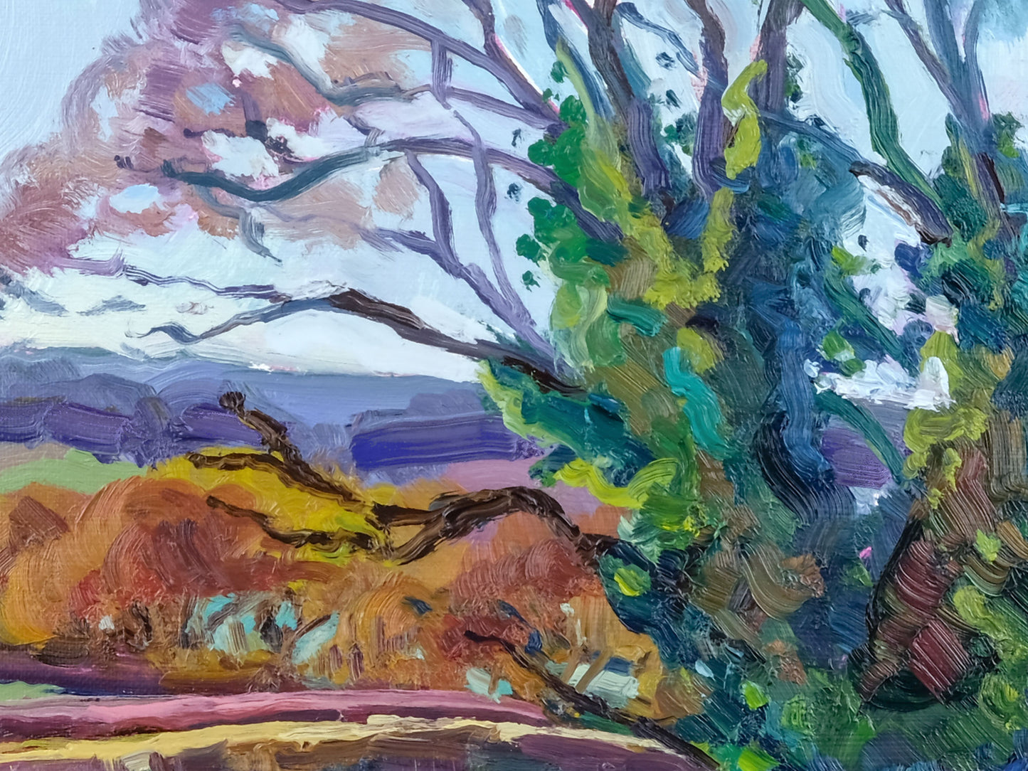 November Oak