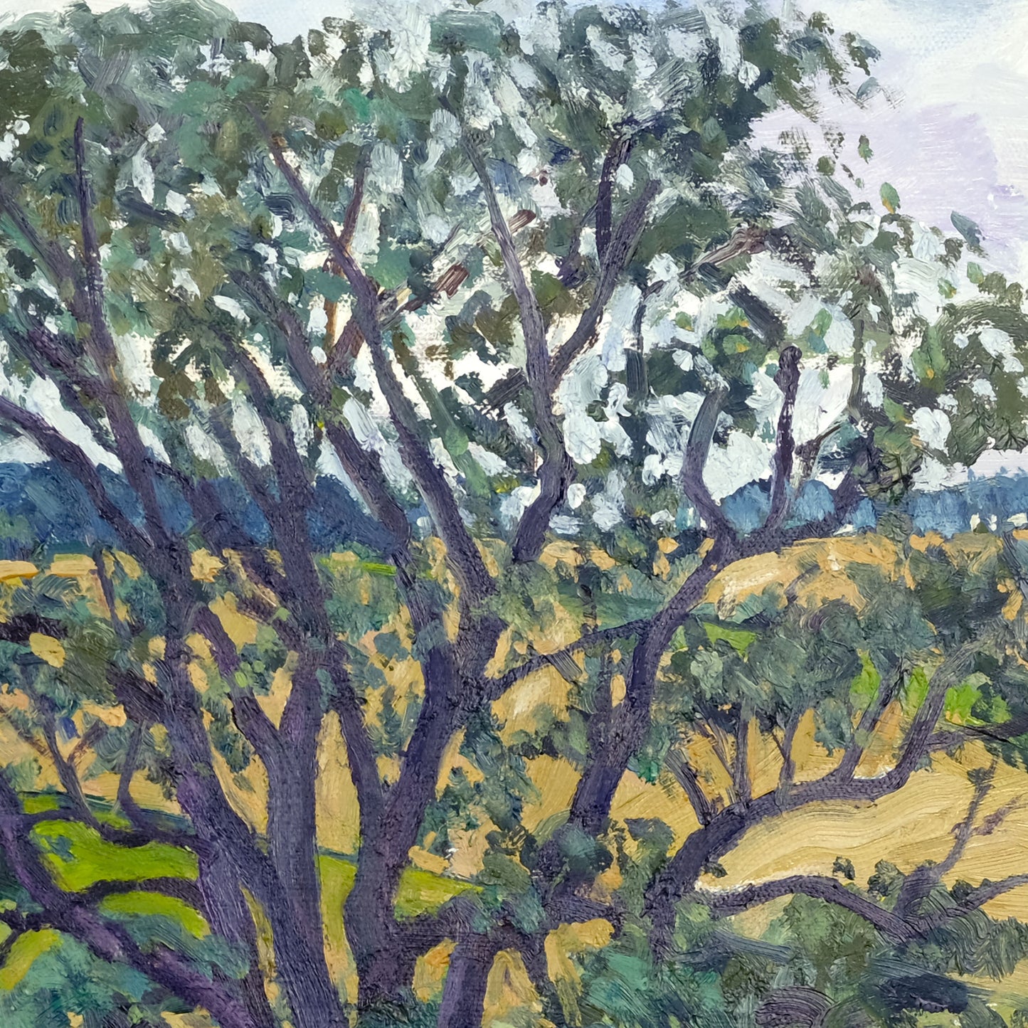 Oat Field, Thixendale