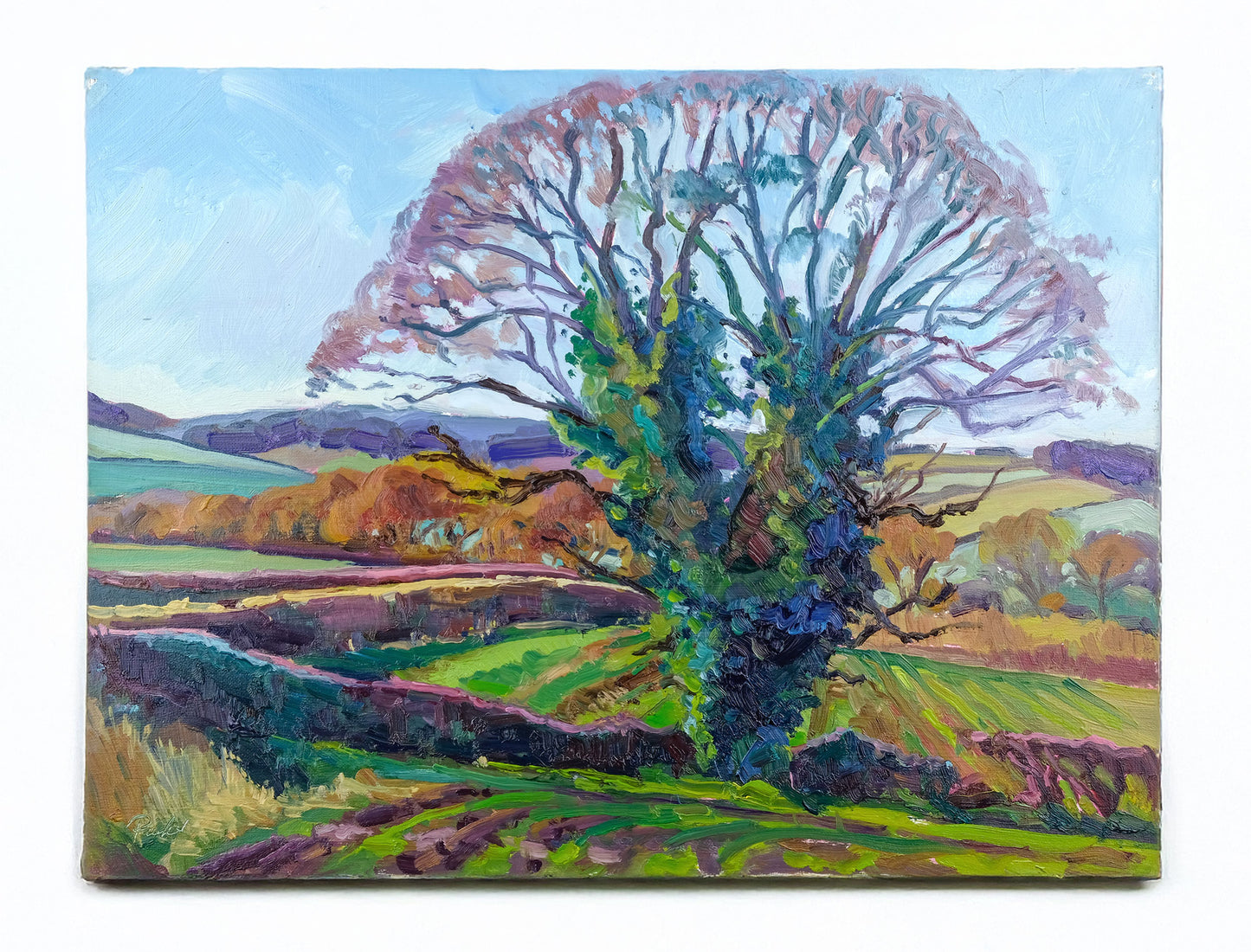 November Oak