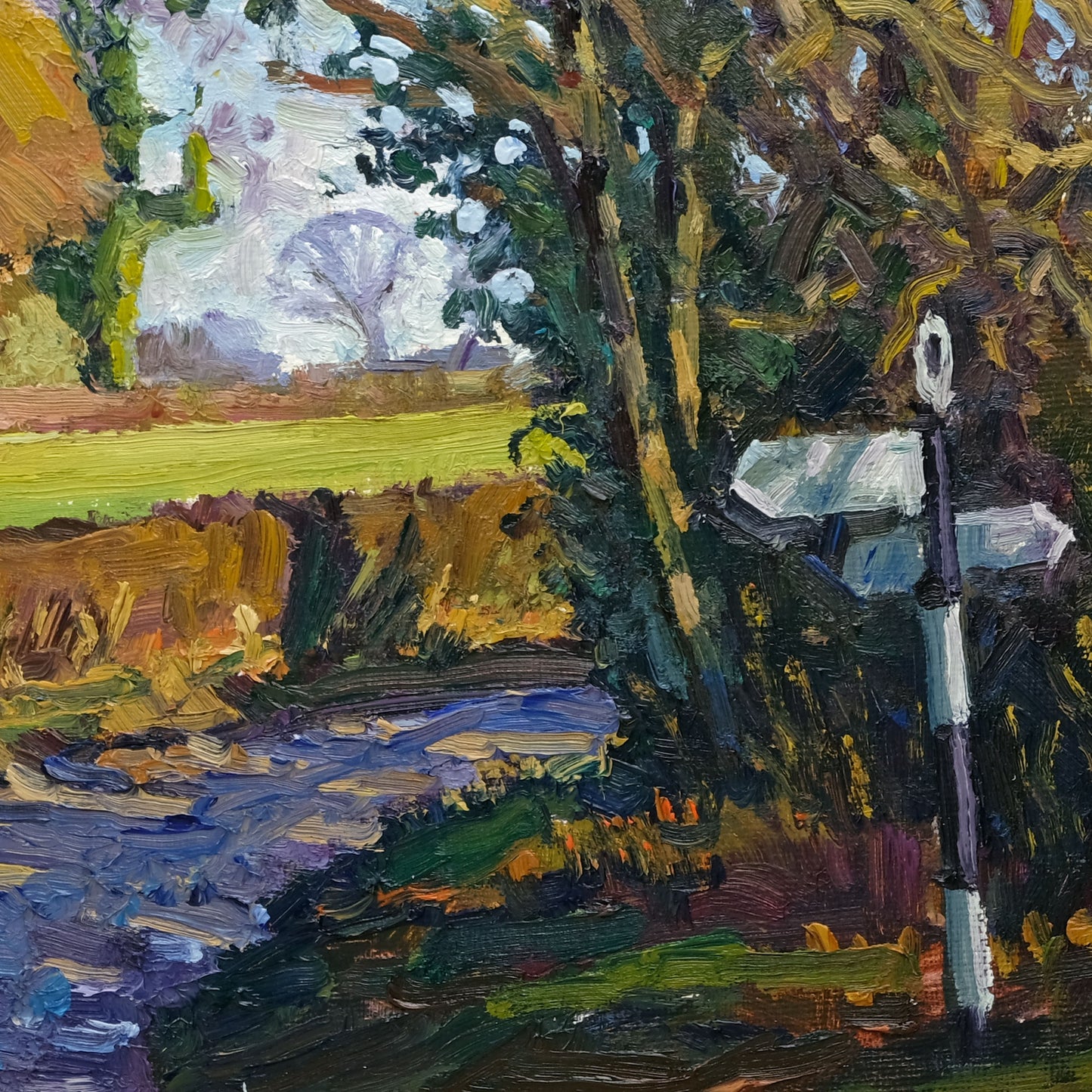 Winter light, Terrington