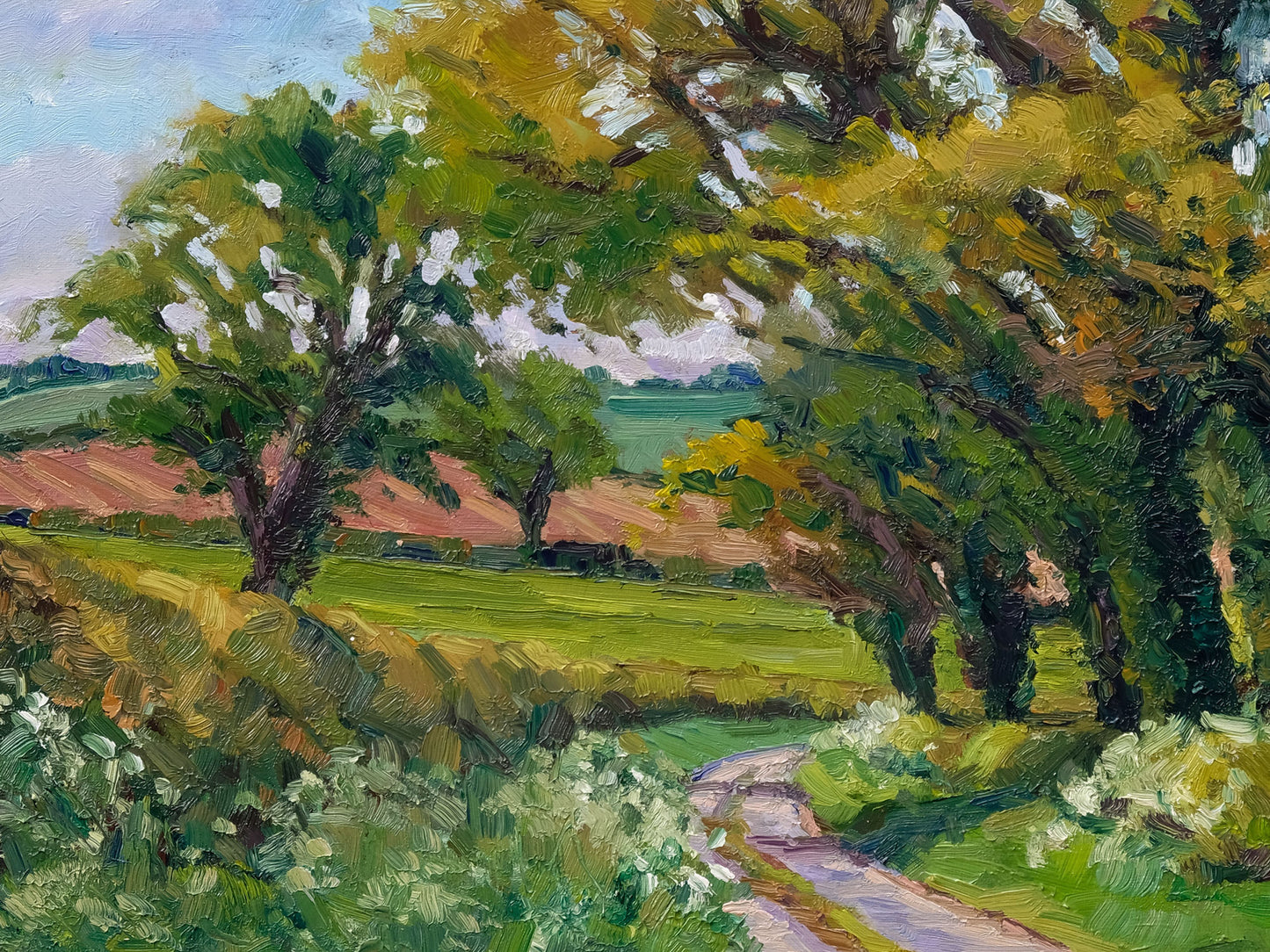 Spring Down Thornton Lane
