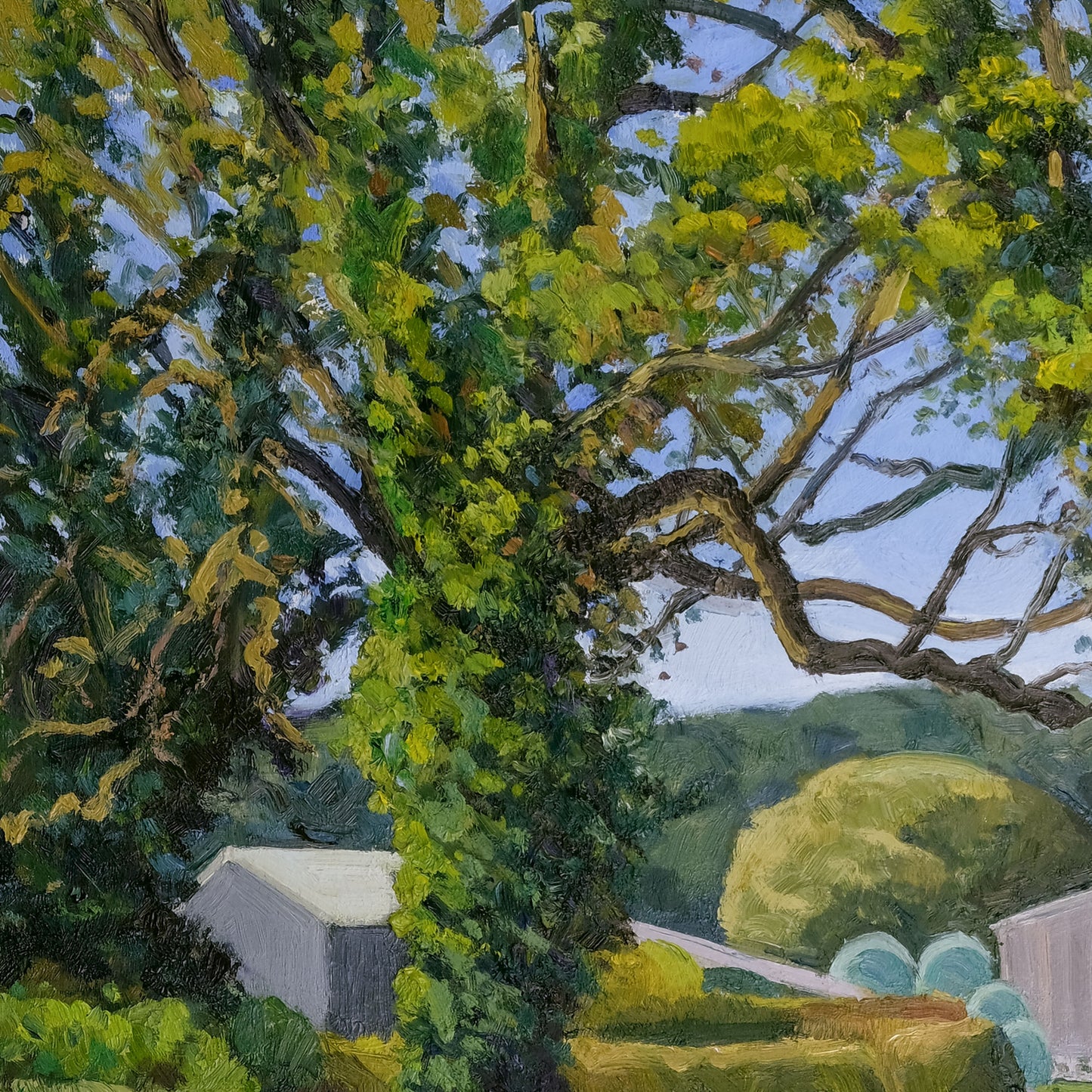 Two trees and barns, Kilburn