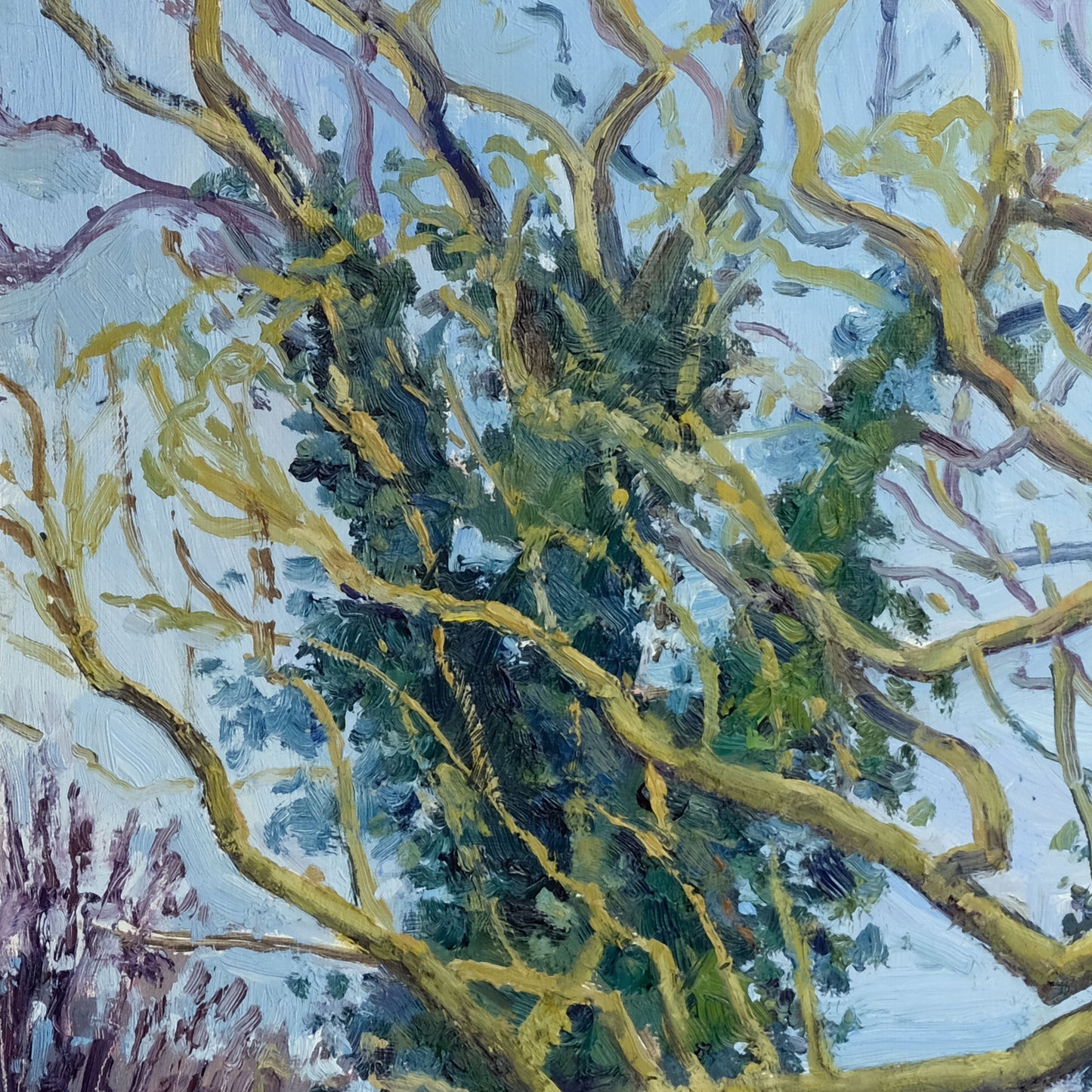 Two Trees, March
