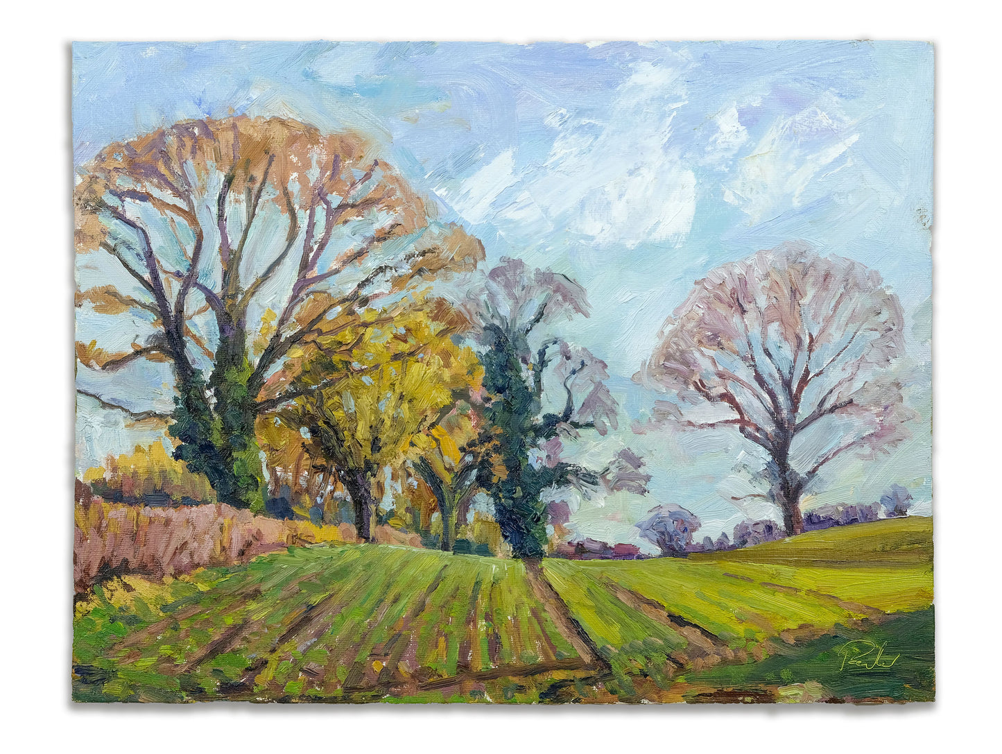January Fields