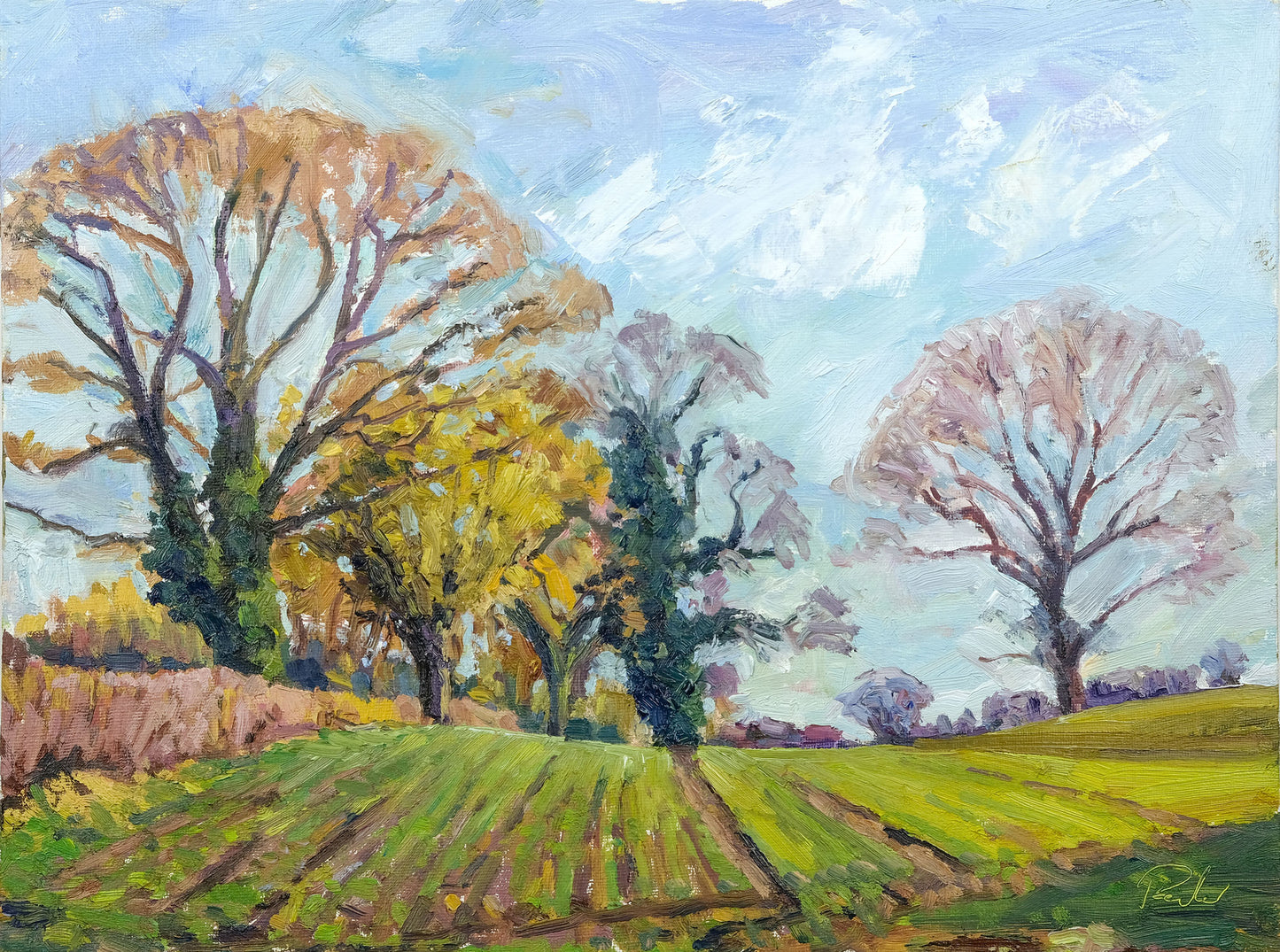 January Fields