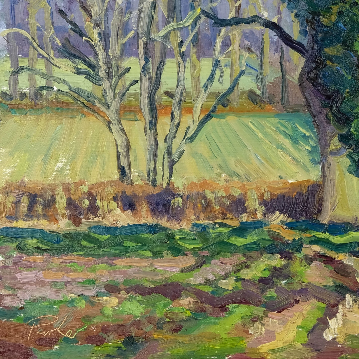 February Landscape