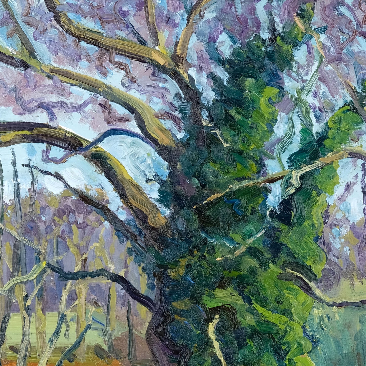 February Landscape