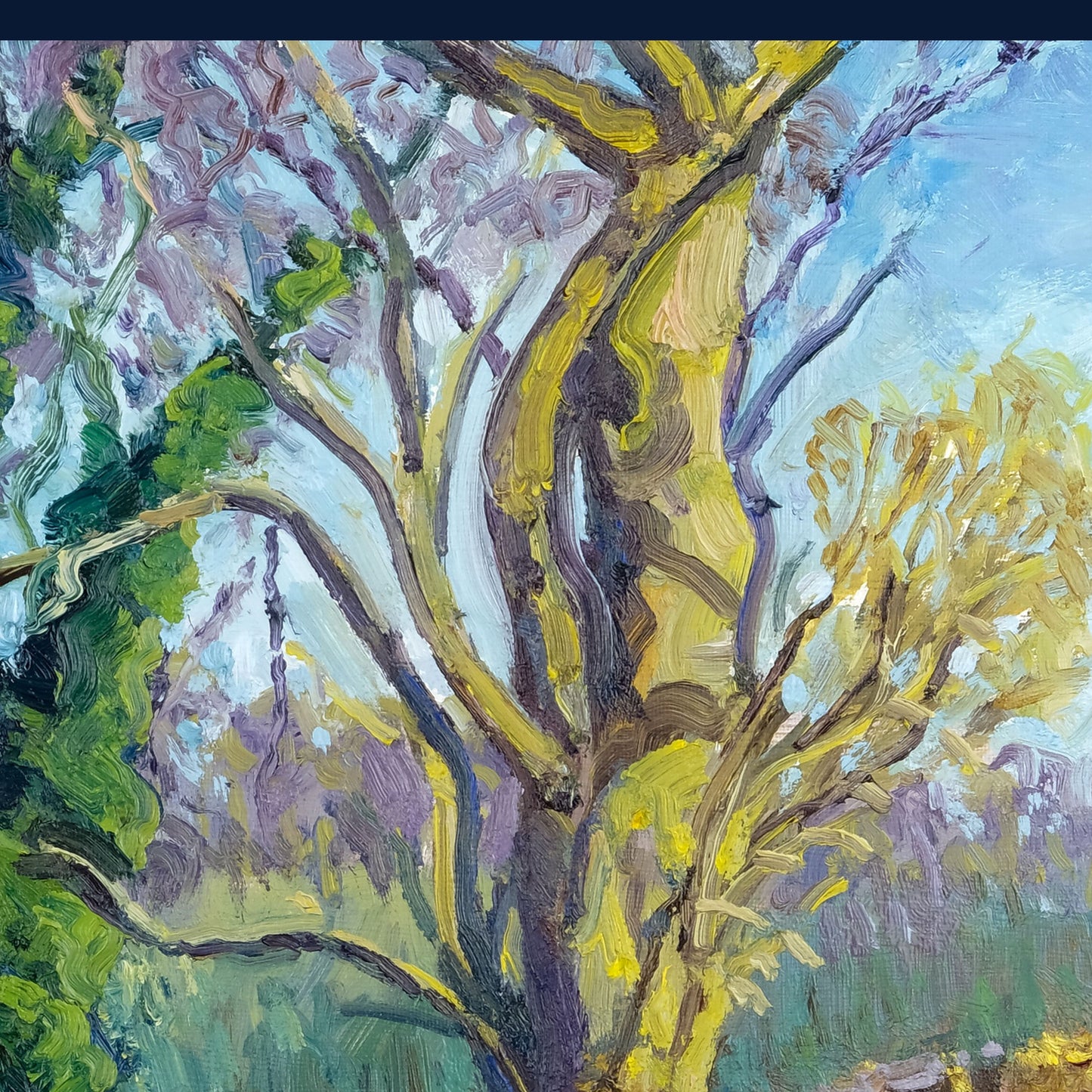 February Landscape