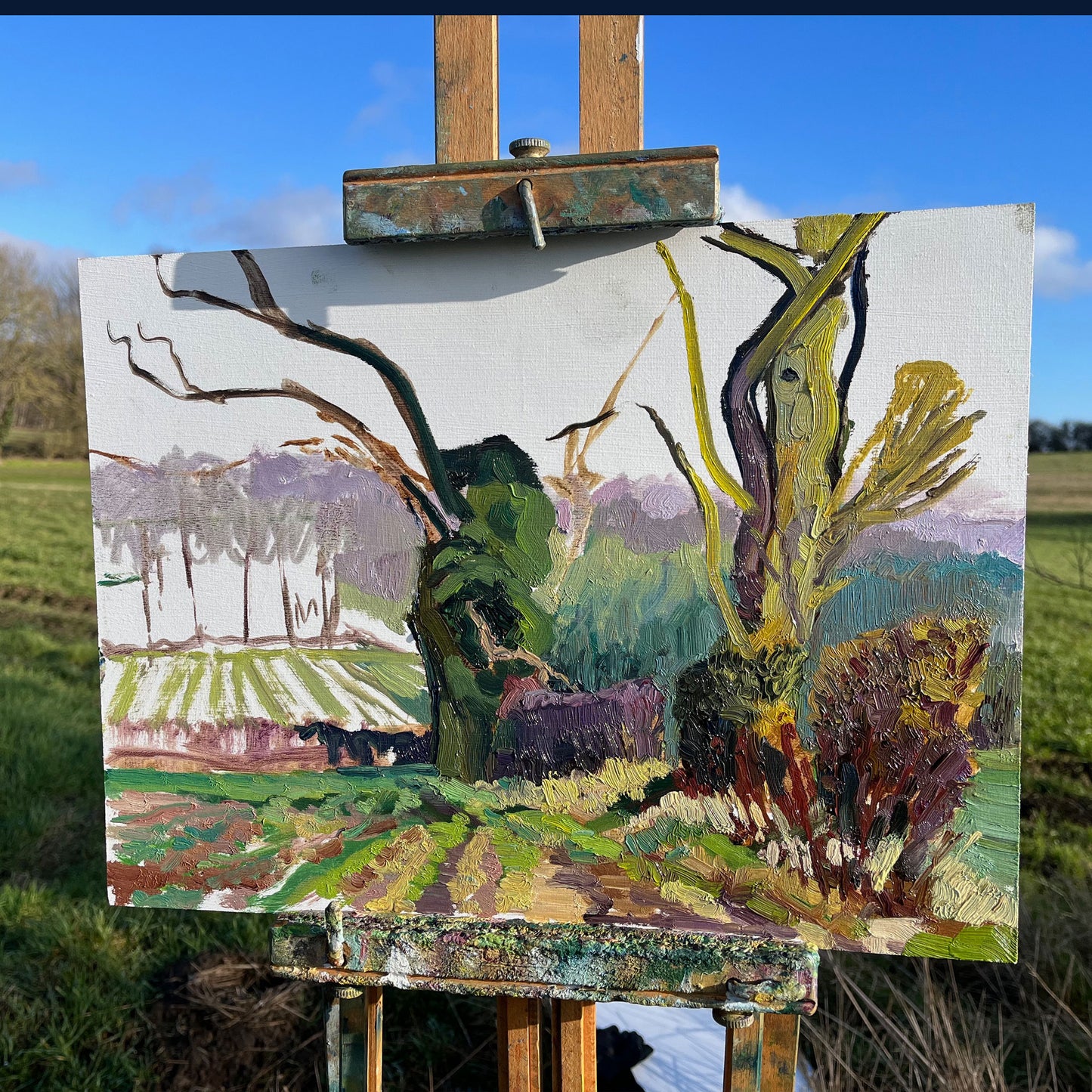 February Landscape