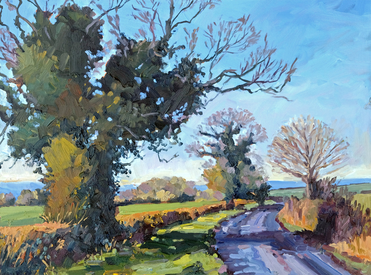 Winter Hues, Newburgh