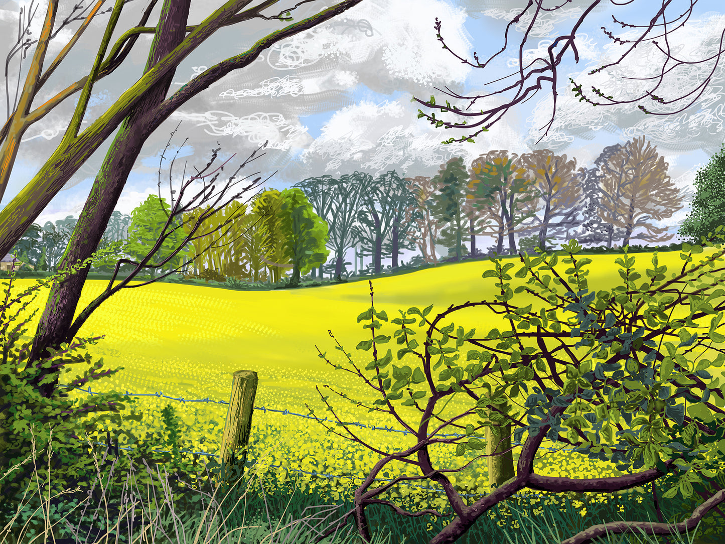 Spring Fields