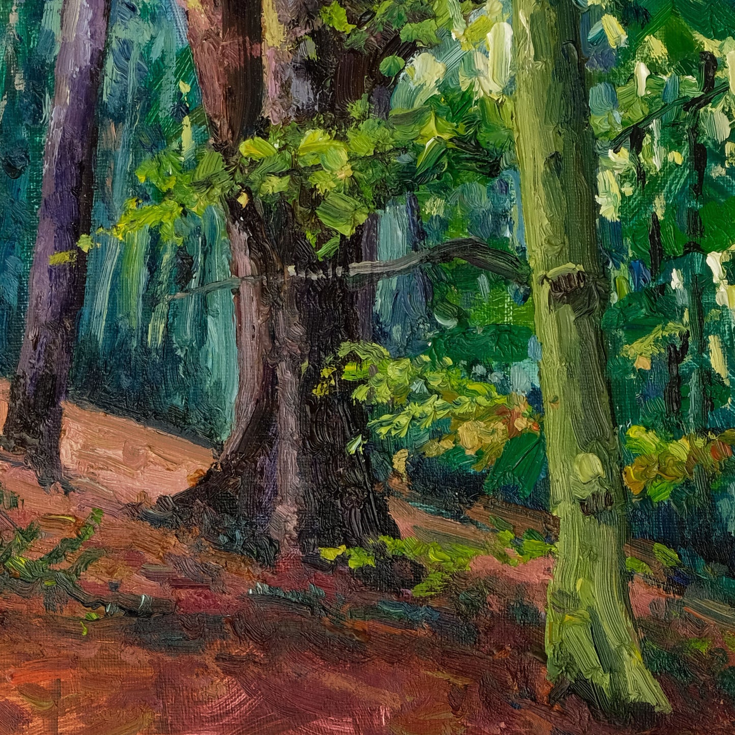 Autumn, Yearsley Woods