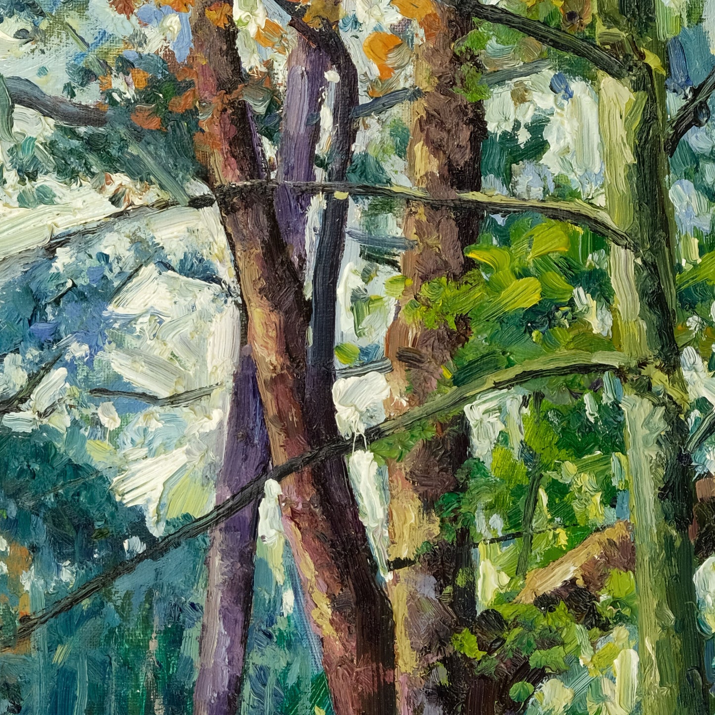 Autumn, Yearsley Woods