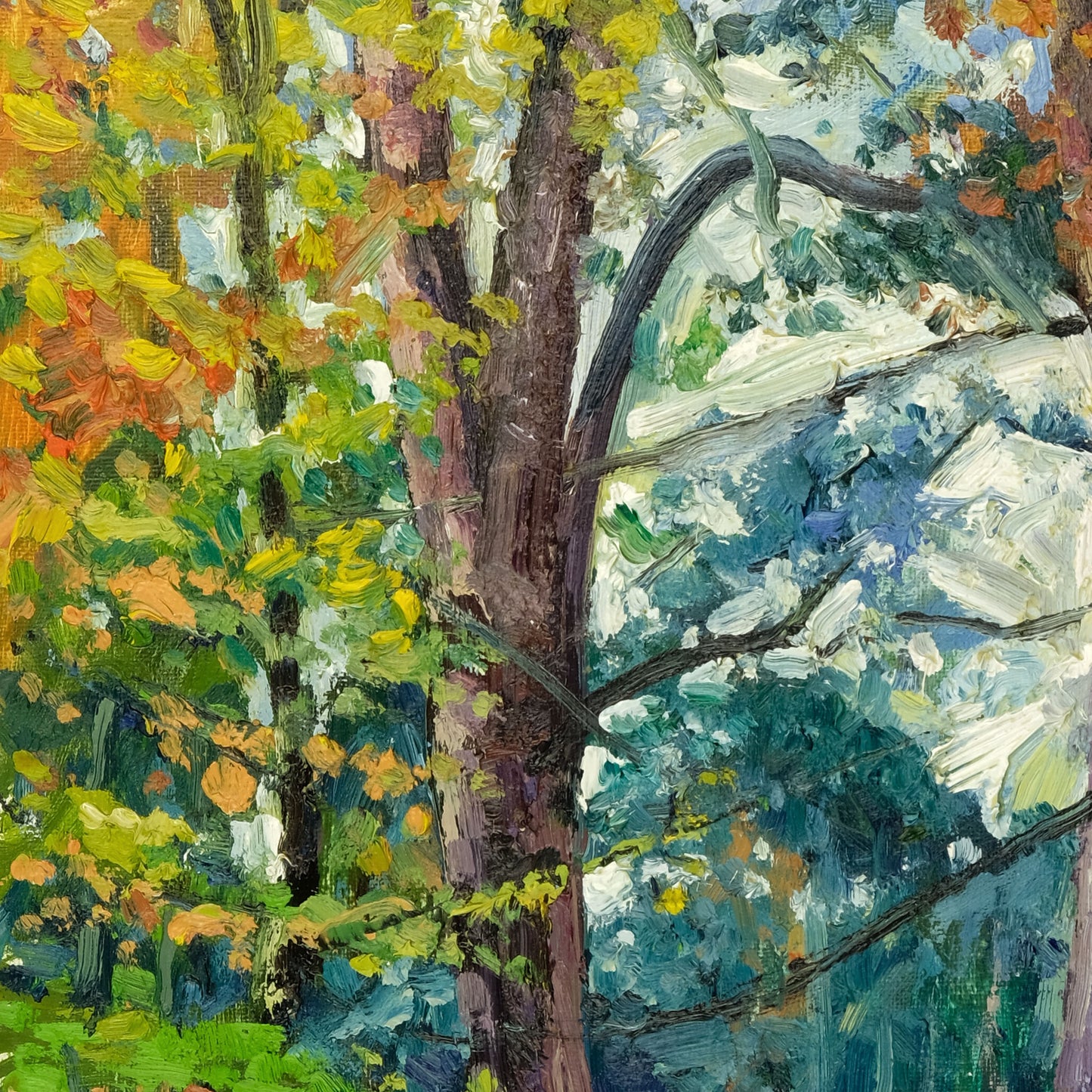 Autumn, Yearsley Woods