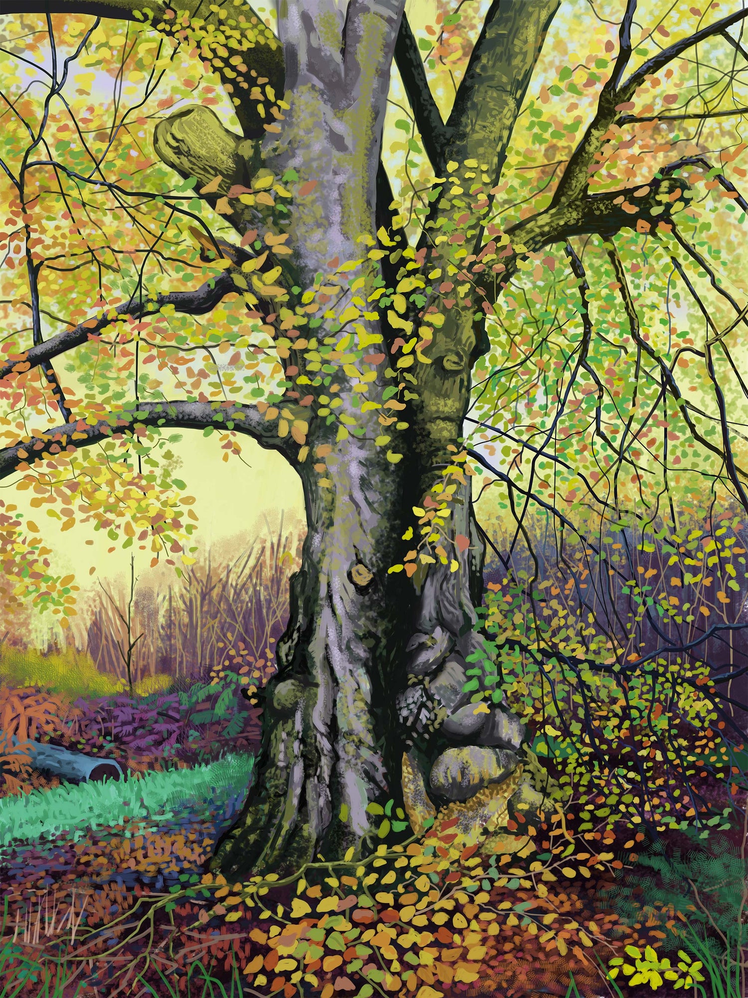 Autumn Beech iPad digital Print