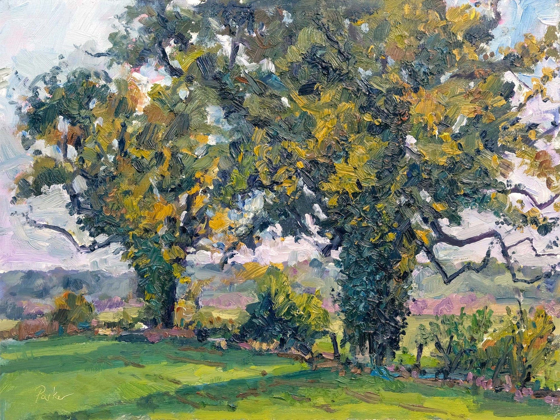 Autumn Oak trees, Coxwold, oil painting  by landscape artist Jeff Parker