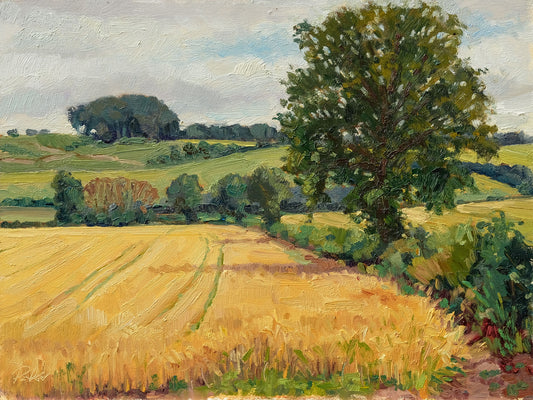 Barley Field, Birdsall