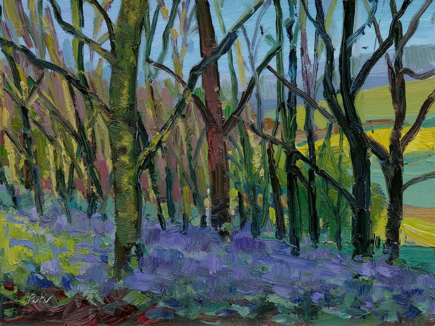 Beyond the Bluebells