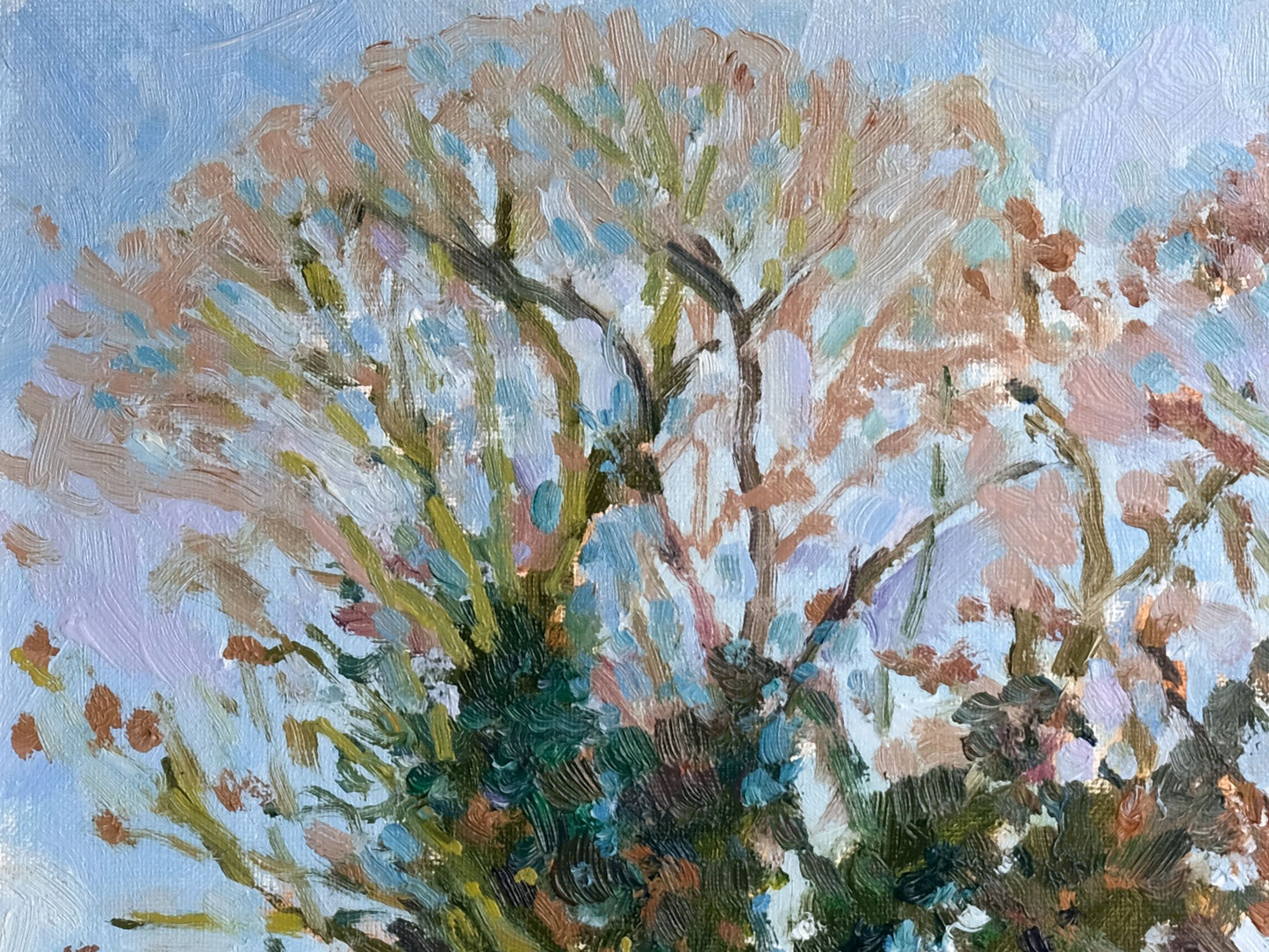 December Trees, Kilburn