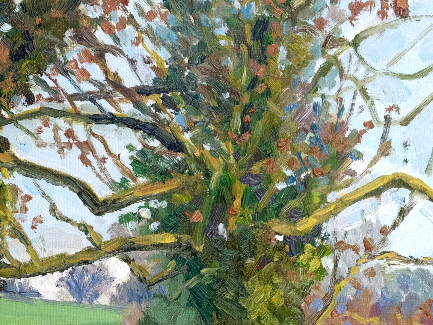 December Trees, Kilburn