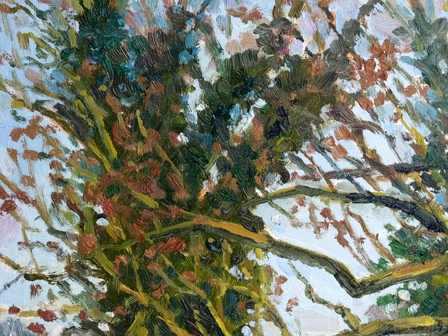 December Trees, Kilburn