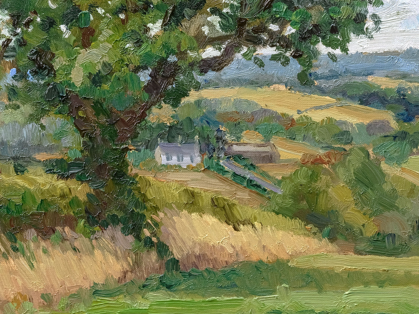 Fox Folly, August