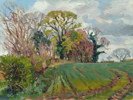 Spring Beckons, Ganthorpe
