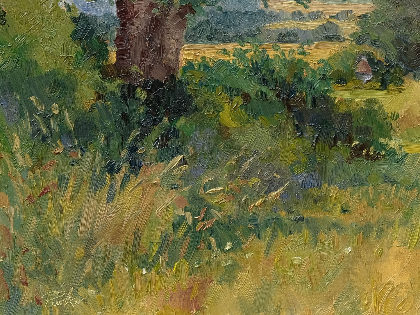 High Leys, July