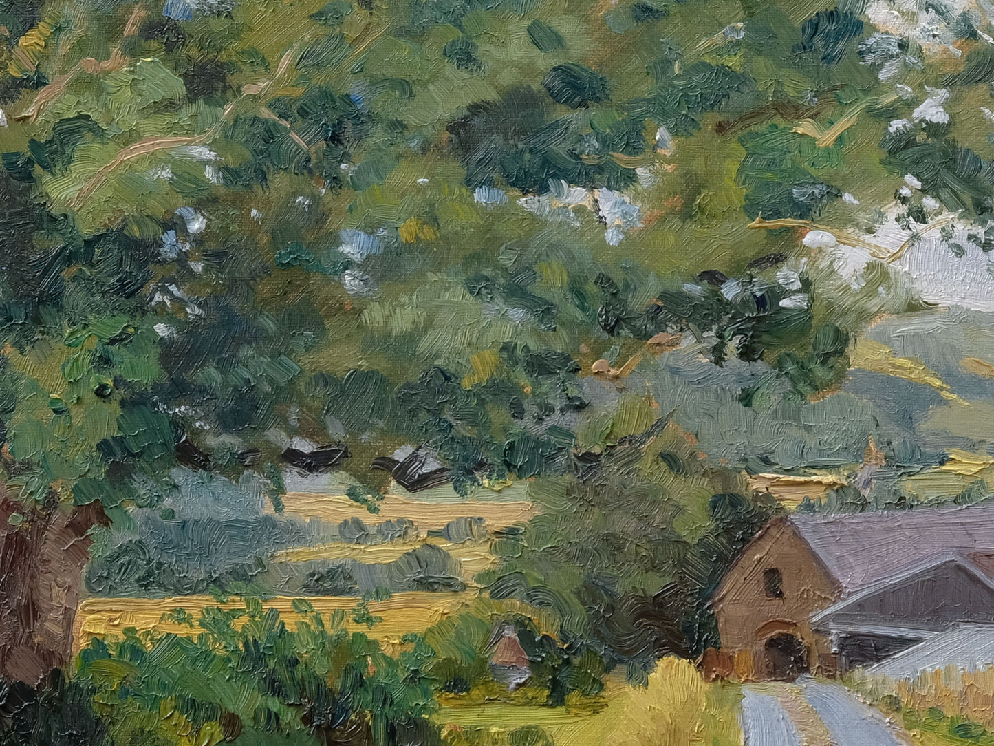 High Leys, July