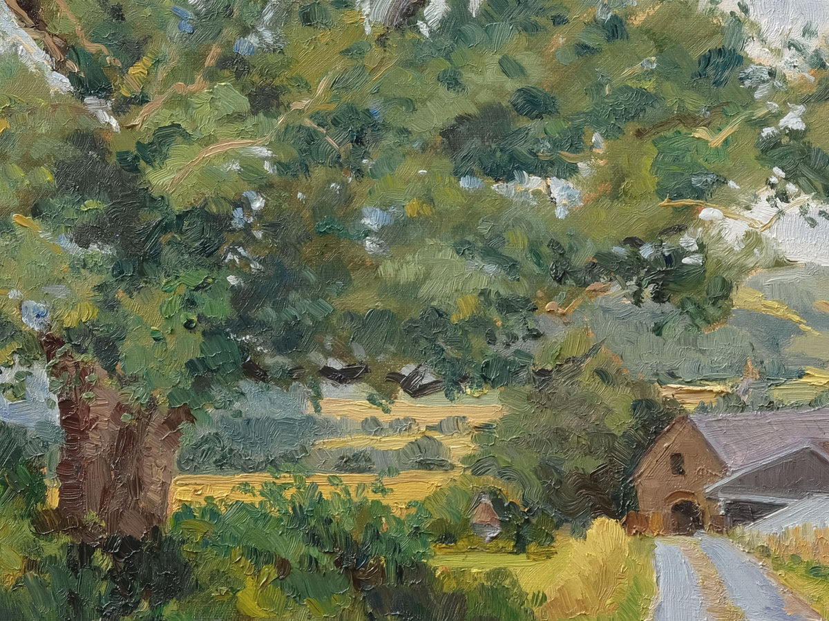 High Leys, July