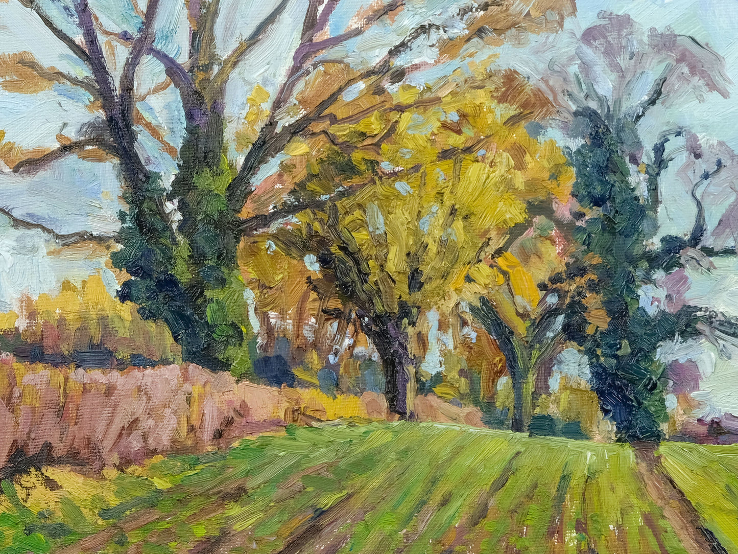 January Fields