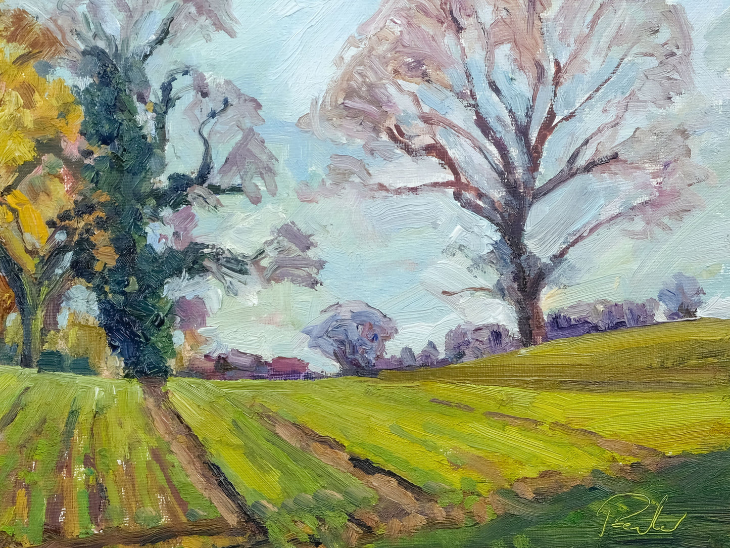 January Fields