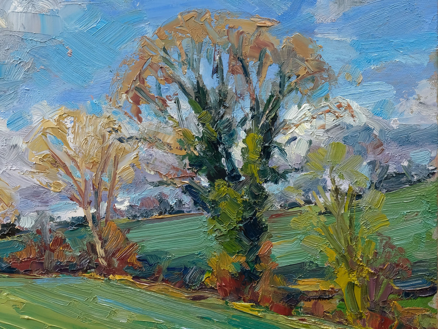 March Bluster, Carlton Husthwaite