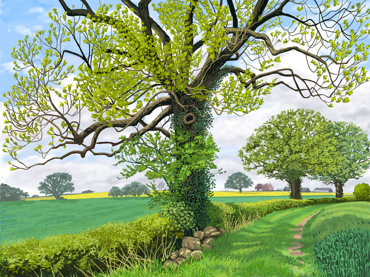 May tree, Farlington. iPad digital drawing by Jeff Parker available in 2 print editions