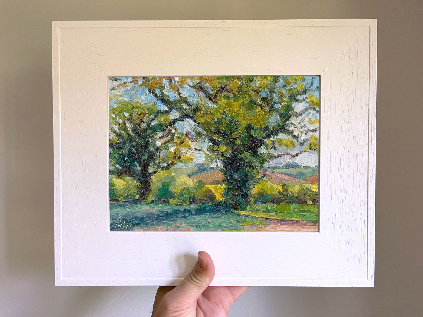 May Tree