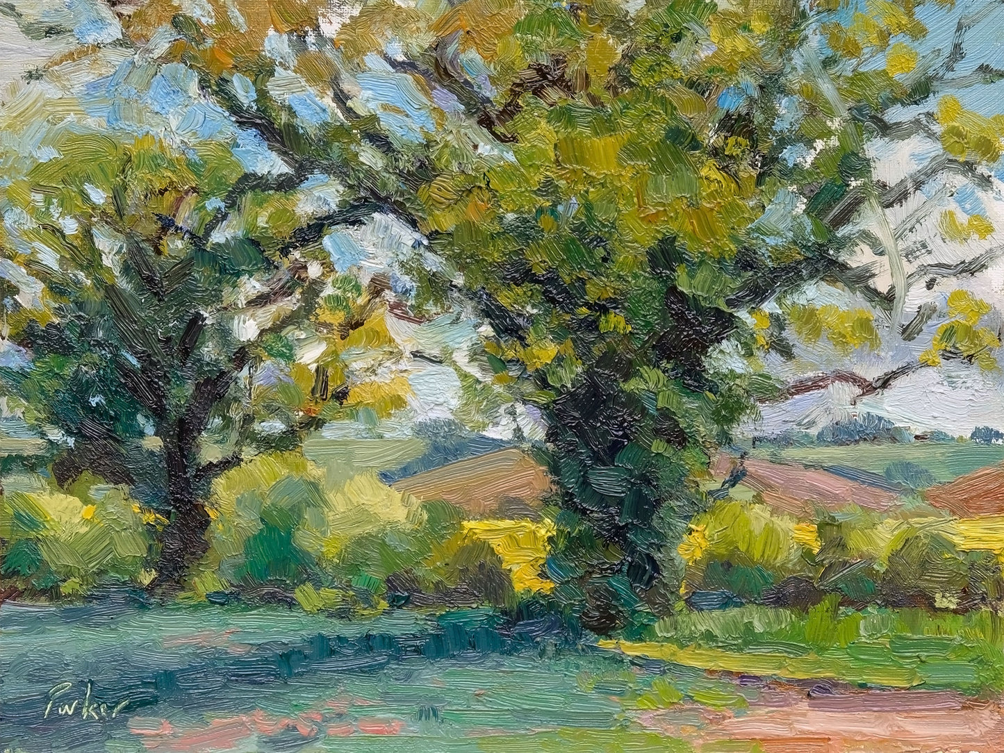 May Tree