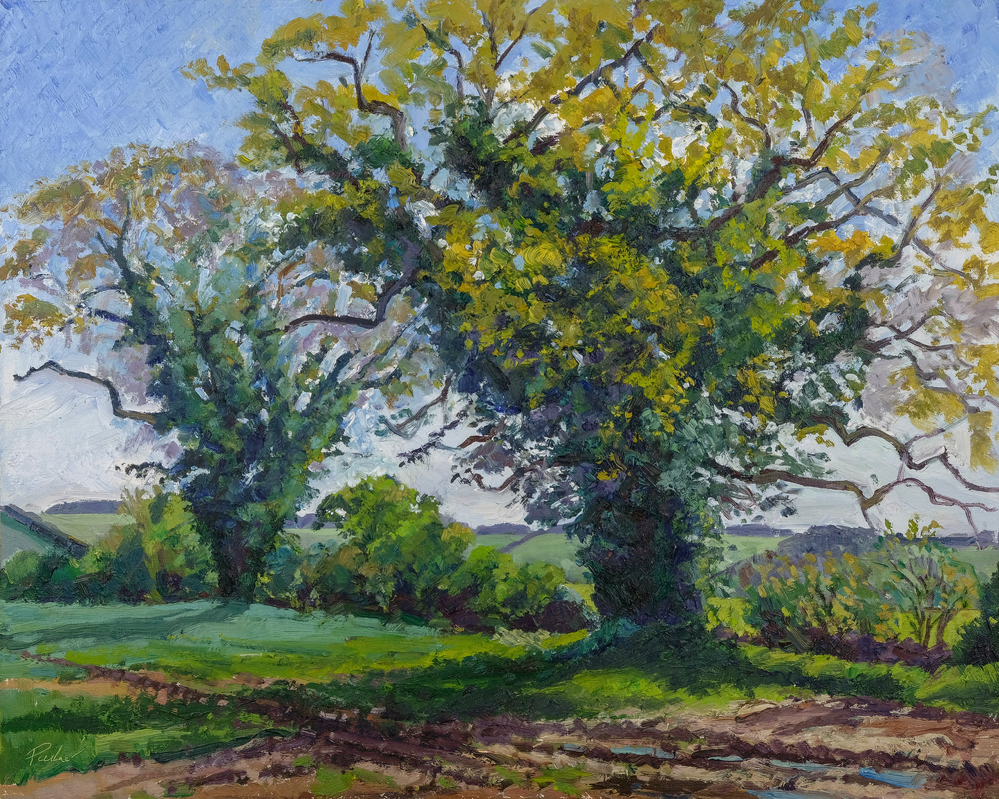 May Oaks, Coxwold