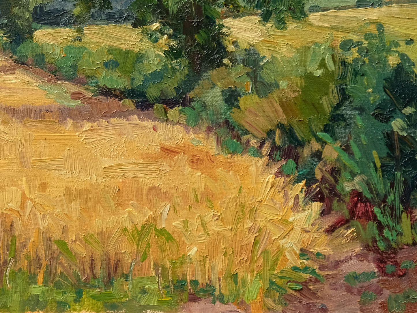 Ripening Barley, Birdsall
