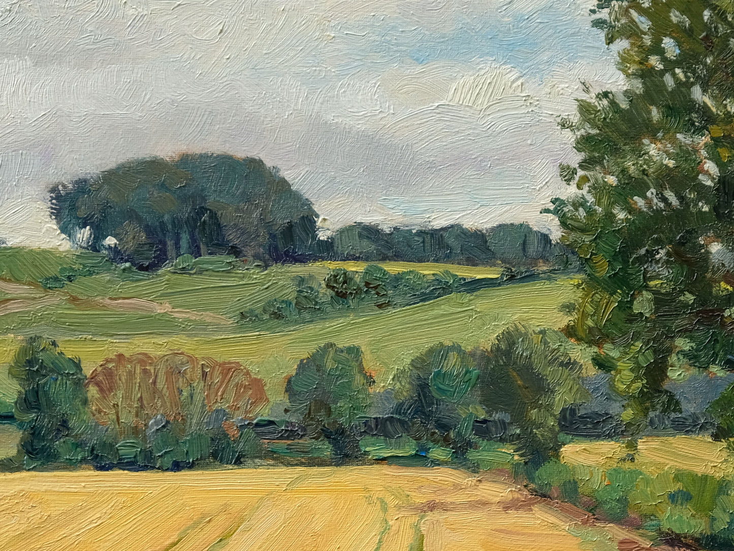 Ripening Barley, Birdsall